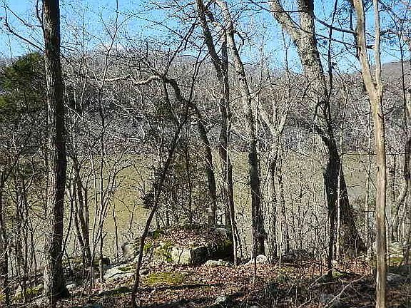 5th image of 86 N Fork Dr