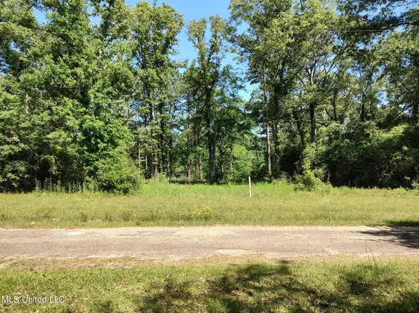 No Bonnie Ln, Lumberton, MS 39455