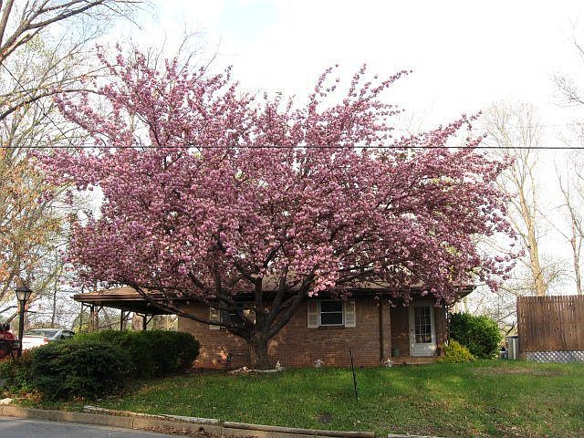 1st image of 1317 Askin St