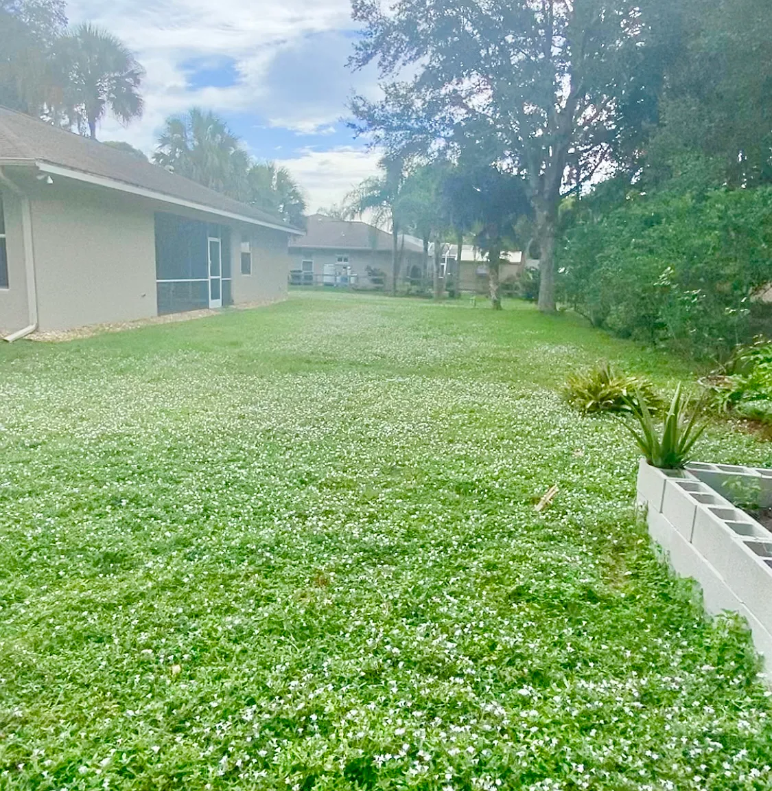 3 bed, 1547 sqft, $2,100 — Photo 2