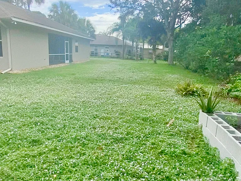 4357 Mermell Cir — Photo 2