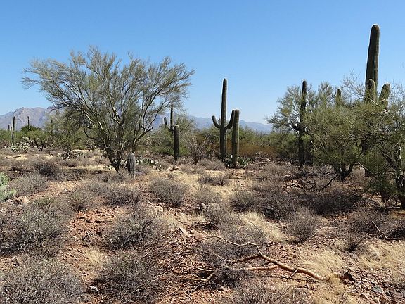 2nd image of 0000B N Sweetwater Dr