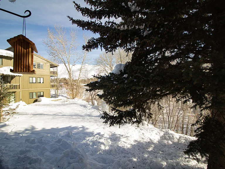 1424 Cottonwood Condominium Dr — Photo 9