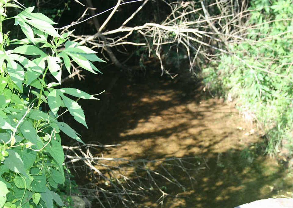 2nd image of 145 Cedar Creek Xing NE