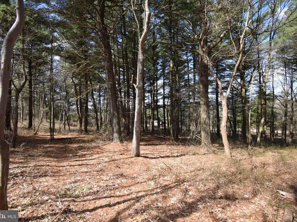 Wintergreen Rd, Palmerton, PA 18071