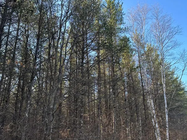 Lower Kaubashine Rd #4094-8, Hazelhurst, WI 54531