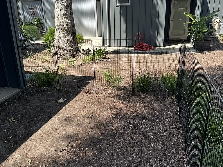 fenced personal yard