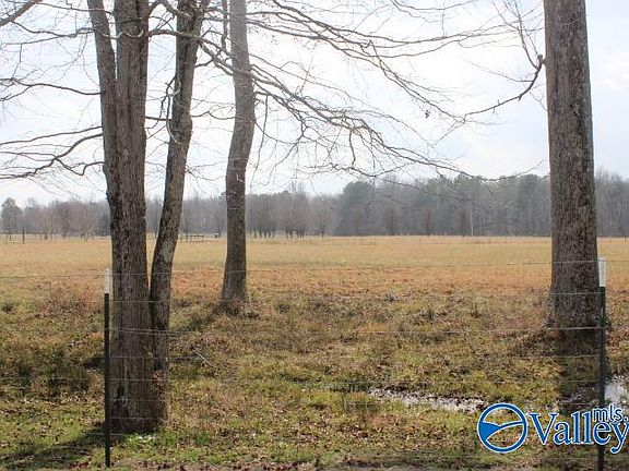 4th image of 2490 County Road 505