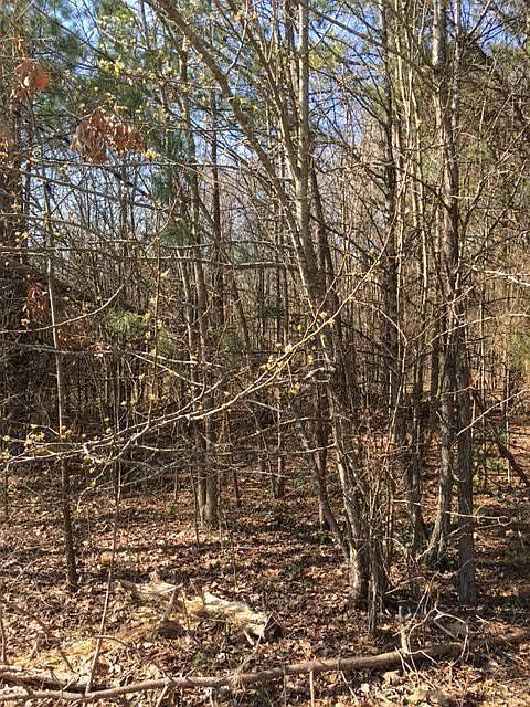 1st image of 8 Lakeside Ave Lot 8