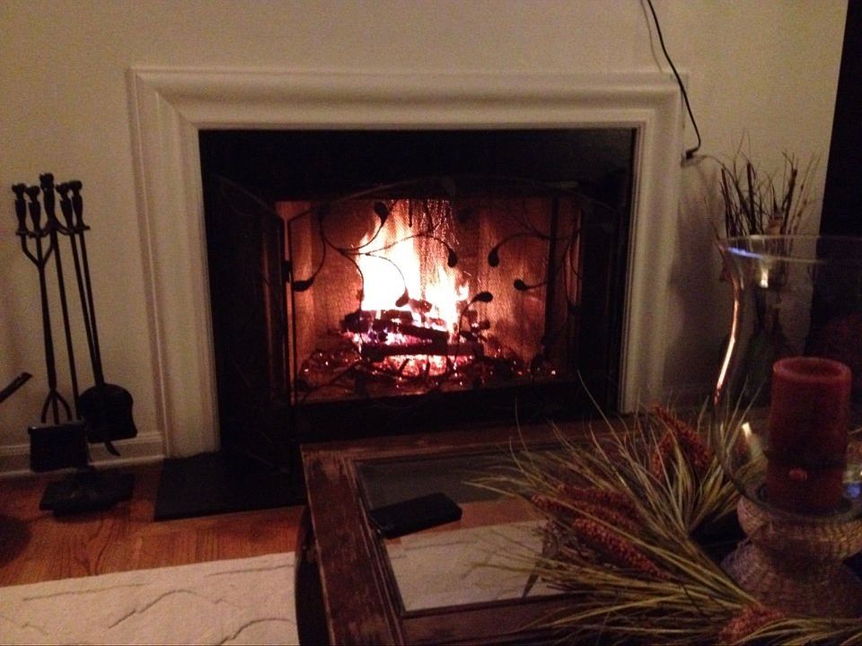 Wood burning fireplace in LR