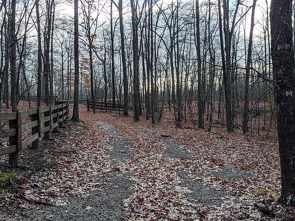 3rd image of 706 Spruce Creek Dr Lot 207