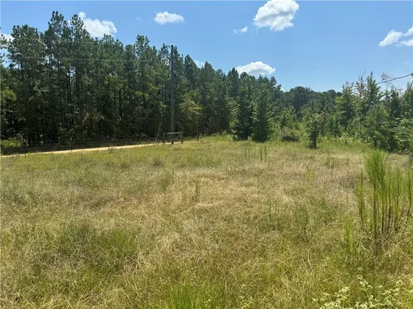 397 Dug Leckie Rd, Pollock, LA 71467