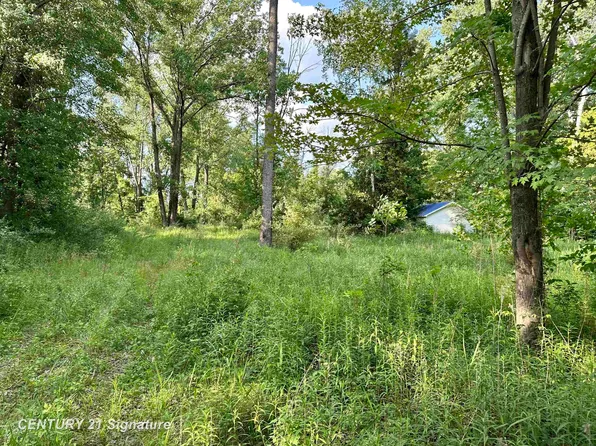 4020 Wieman Rd, Beaverton, MI 48612