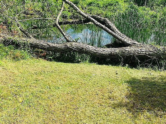 2nd image of 20697 Dogwood Shore Ln