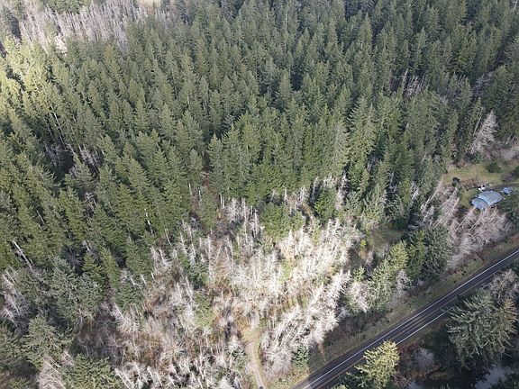 5th image of Tl 201 Little Nestucca River Hwy