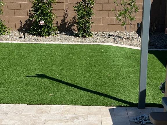 Back yard