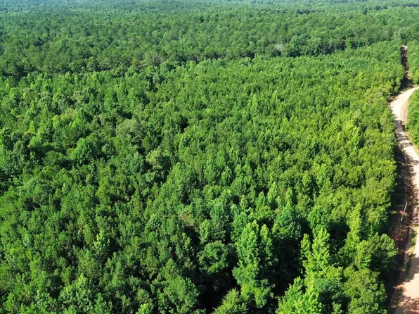 228 County Road 147, Roanoke, AL 36274