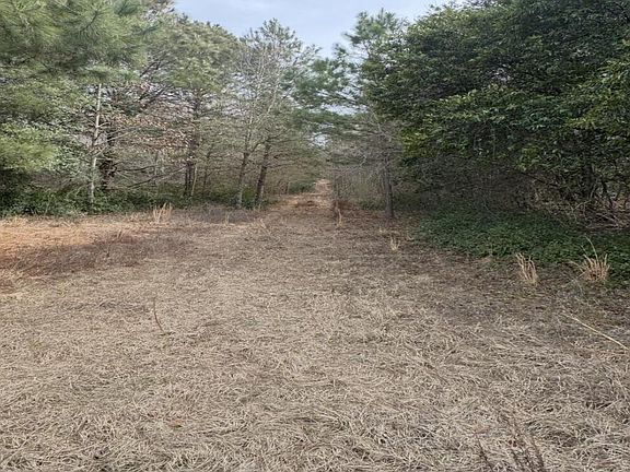 4th image of Fire Tower Rd