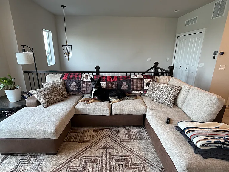 4 Person couch (or two people with 1 dog)