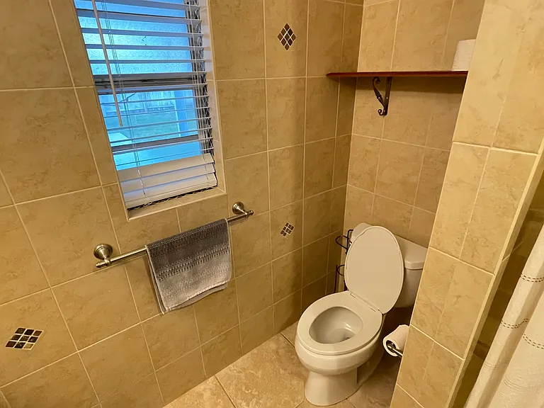 Guest bathroom