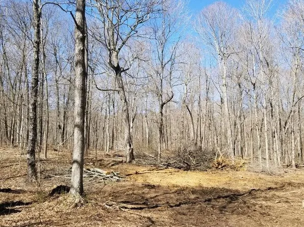 0 Carrsville Rd, Smithland, KY 42081