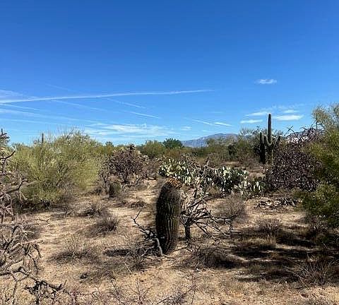 4th image of Tbd W Camino De Manana