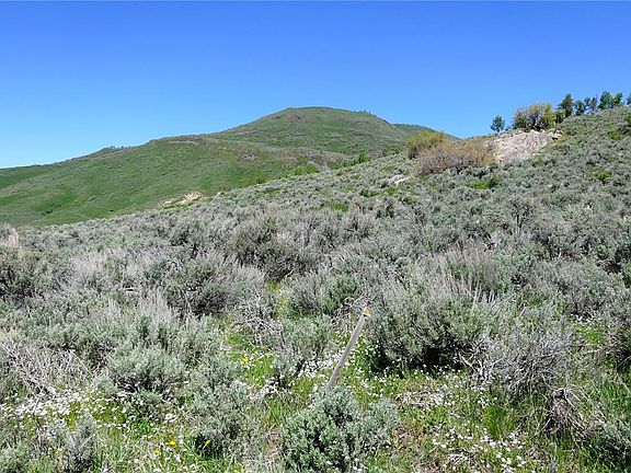 2nd image of 31575 Shoshone Way
