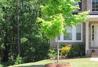 2nd image of 1537 Evergreen Hollow Ln