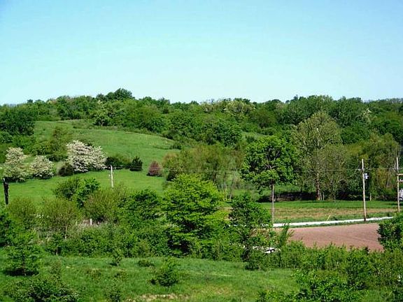 5th image of N Farley Rd