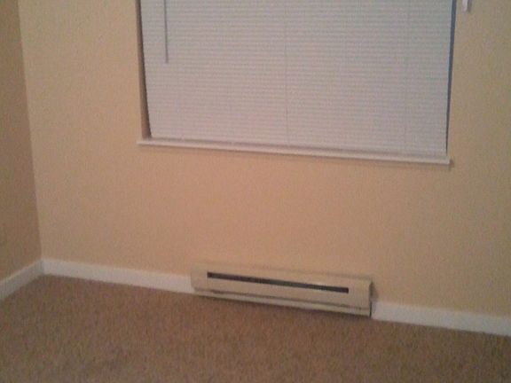 Bedroom 1 Window View