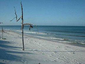 1st image of 204 Seagrass Cir