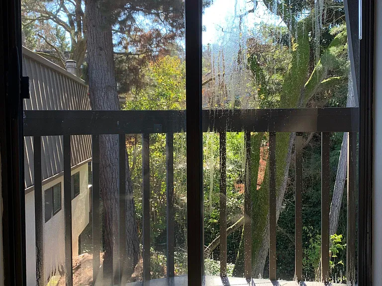 917 Hough St #9 — Photo 51