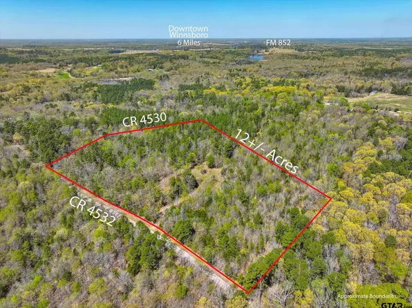 12ACRE S County Road 4530, Winnsboro, TX 75494