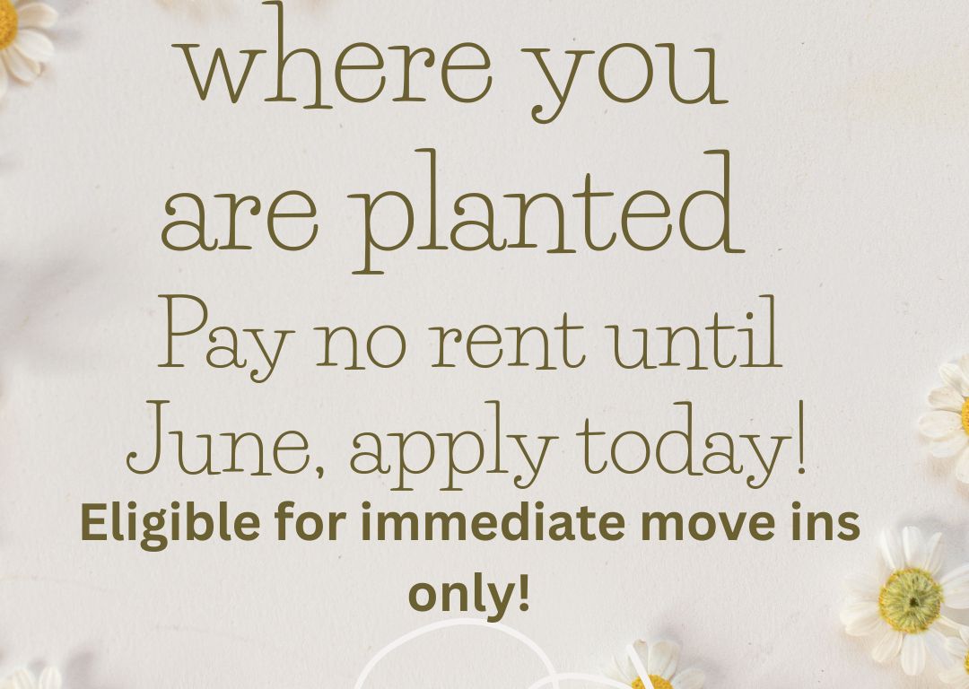 Apply today and pay no rent till June!