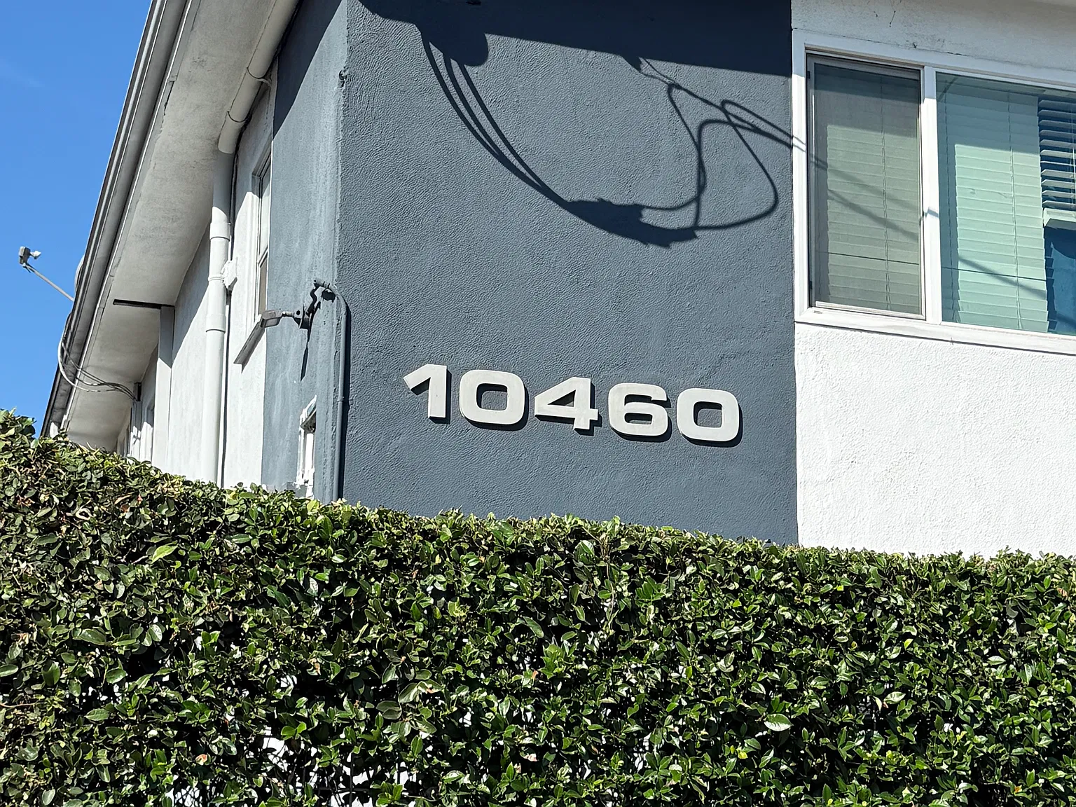 Studio, 437 sqft, $1,750 — Photo 3