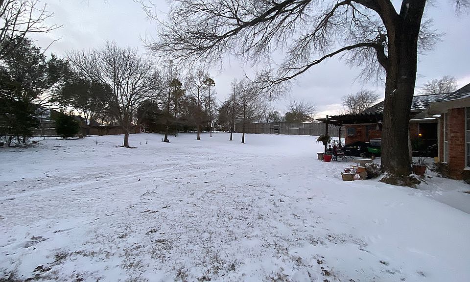 Snow in backyard 