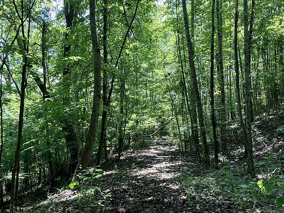 3rd image of Lakewood Village Dr