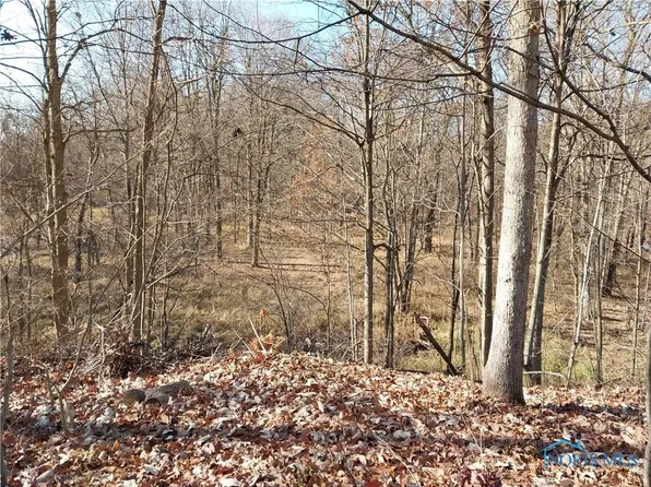 0 Rosebrook Rd, Sherwood, OH 43556