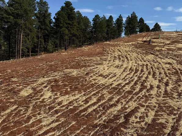 5746 Wind River Rd, Rapid City, SD 57702