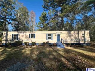 1803 Poor Farm Rd, Effingham, SC 29541