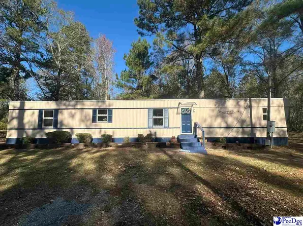 1803 Poor Farm Rd, Effingham, SC 29541