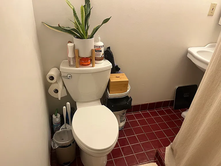 2595 Buena Vista Way #C — Photo 18