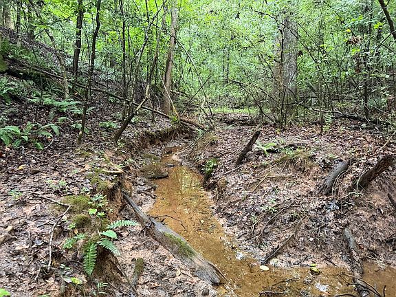 3rd image of 0 Whitt Rd