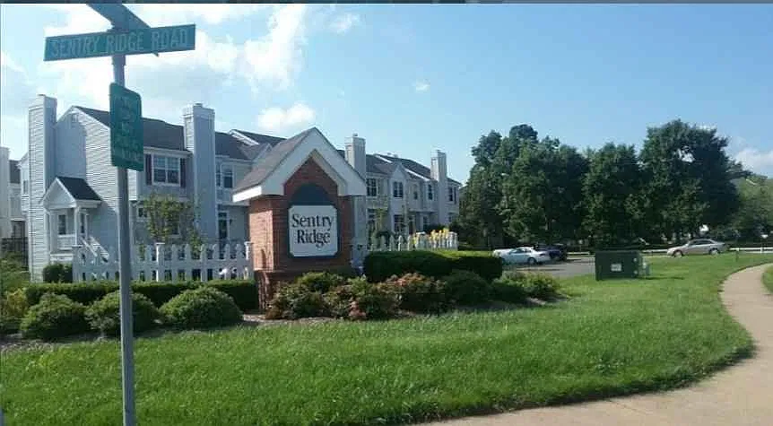 3 bed, 1479 sqft, $2,750 — Photo 2
