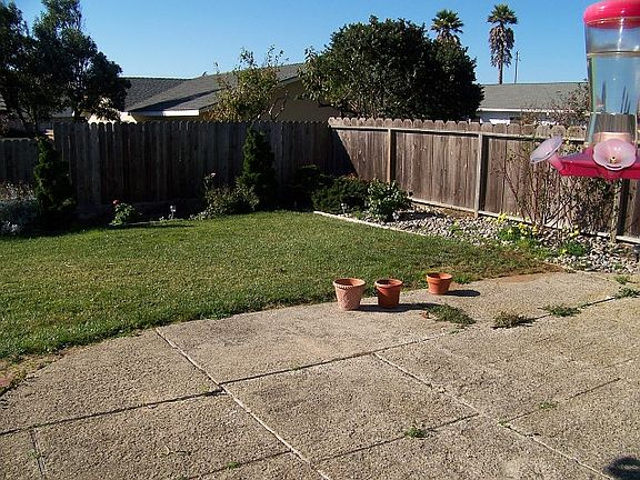 Private Fenced Back Yard