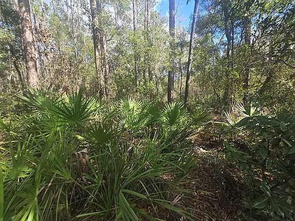 5th image of Lot 20 NE 796th St