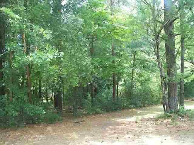 1st image of 115 Dundee Road LOT 2439, 2440, 2441, 24
