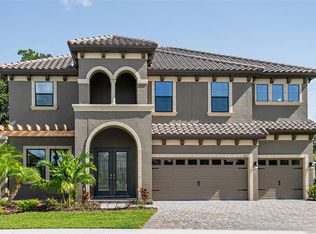 103 Mossy River Ct, Brandon, FL 33511