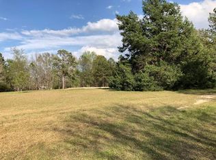 944 Conway McDonald Rd, Tarrytown, GA 30470