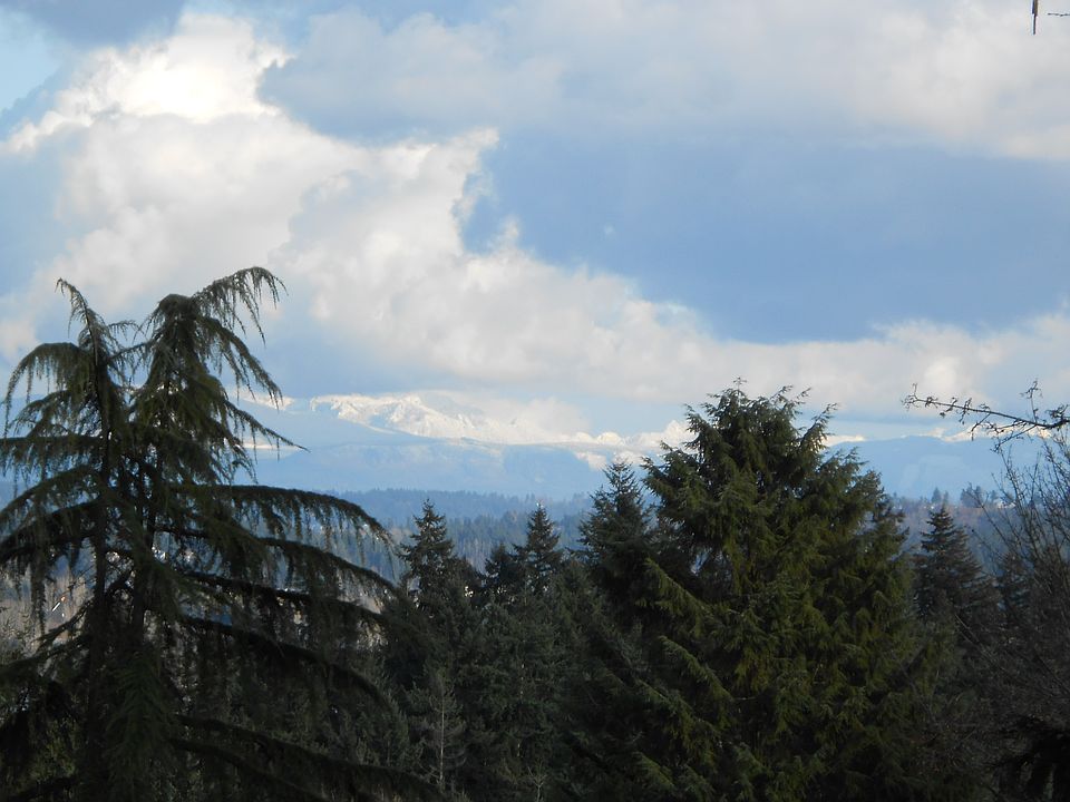 1st image of 16722 32nd Pl NE